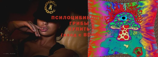 гашик Медногорск