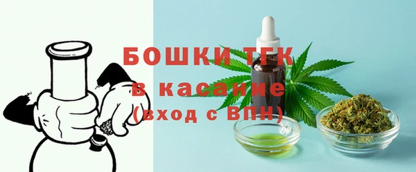 крисы Мегион