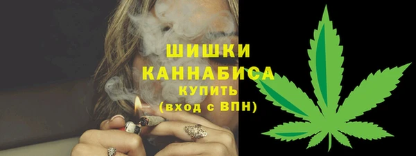 гашик Медногорск
