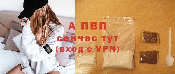 крисы Мегион